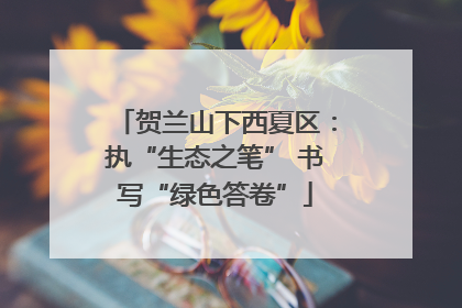 贺兰山下西夏区：执“生态之笔” 书写“绿色答卷”